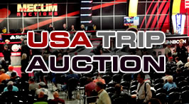 usa-trip-auction
